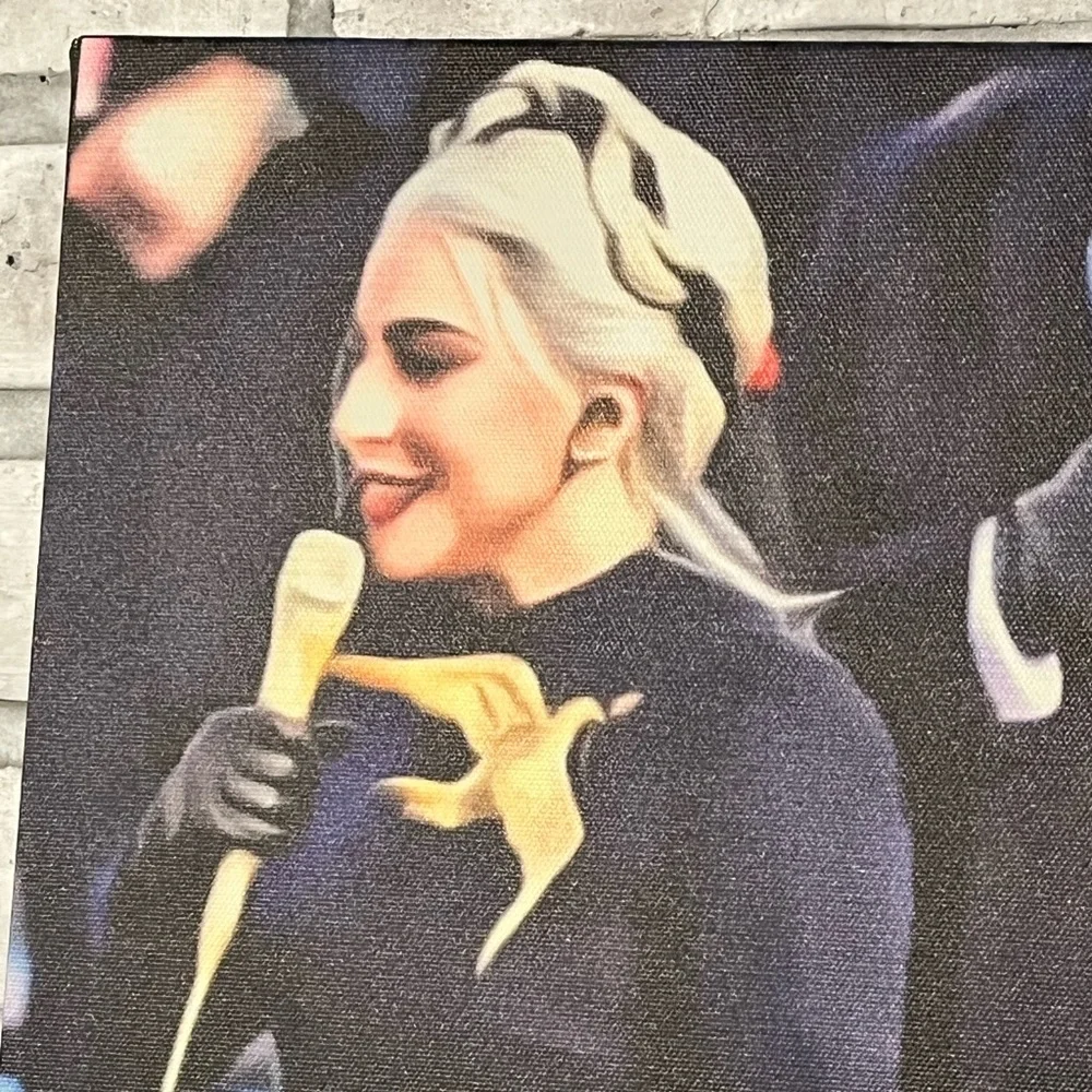 Canvas Photo Print of Lady Gaga‎ at Presidential Inauguration 11 x 14